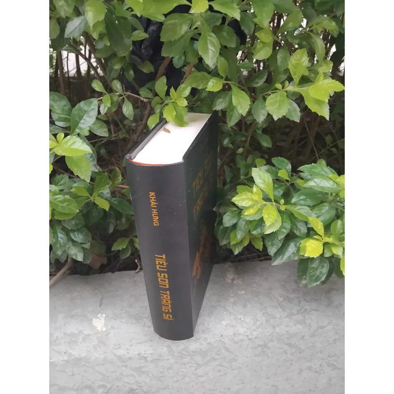 Tiêu Sơn tráng sỹ tiểu thuyết của Khái Hưng  733480