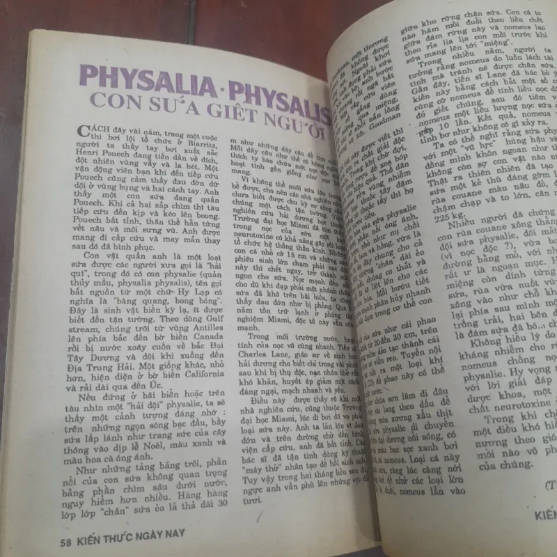 KIẾN THỨC NGÀY NAY số 30 ngày 1.3.1990 762134