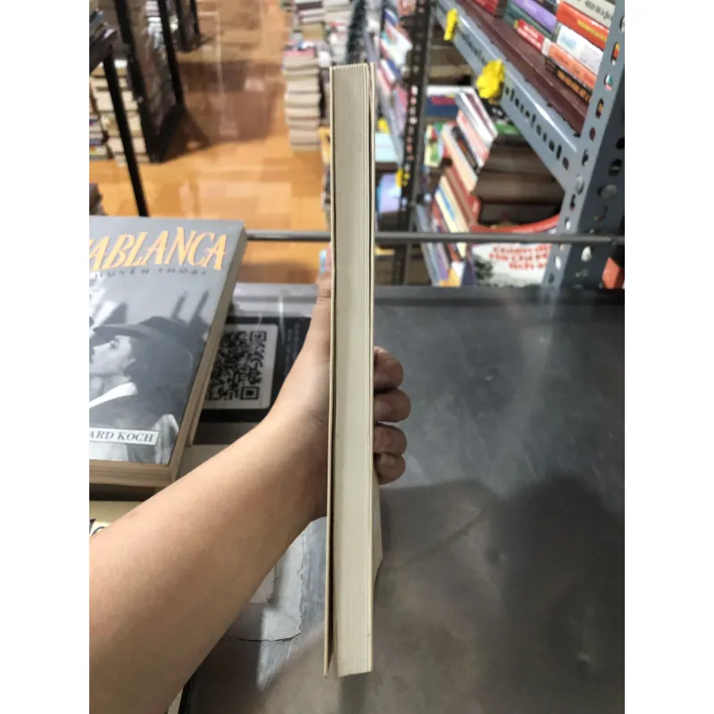 Chuyện tình triết gia 990892