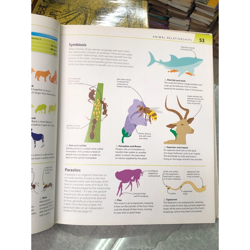 HELP YOUR KIDS WITH SCIENCE: A UNIQUE STEP-BY-STEP VISUAL GUIDE 356854