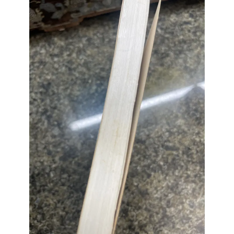 Trịnh Công Sơn ngôn ngữ & những ám ảnh nghệ thuật chuyên luận Bùi Vĩnh Phúc 796549