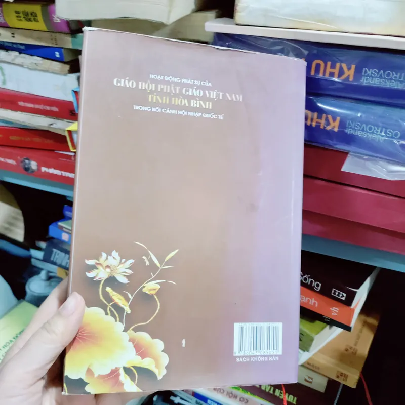 Hoạt động phận sự của giáo hội phật giáo VN tỉnh hoà bình 673723