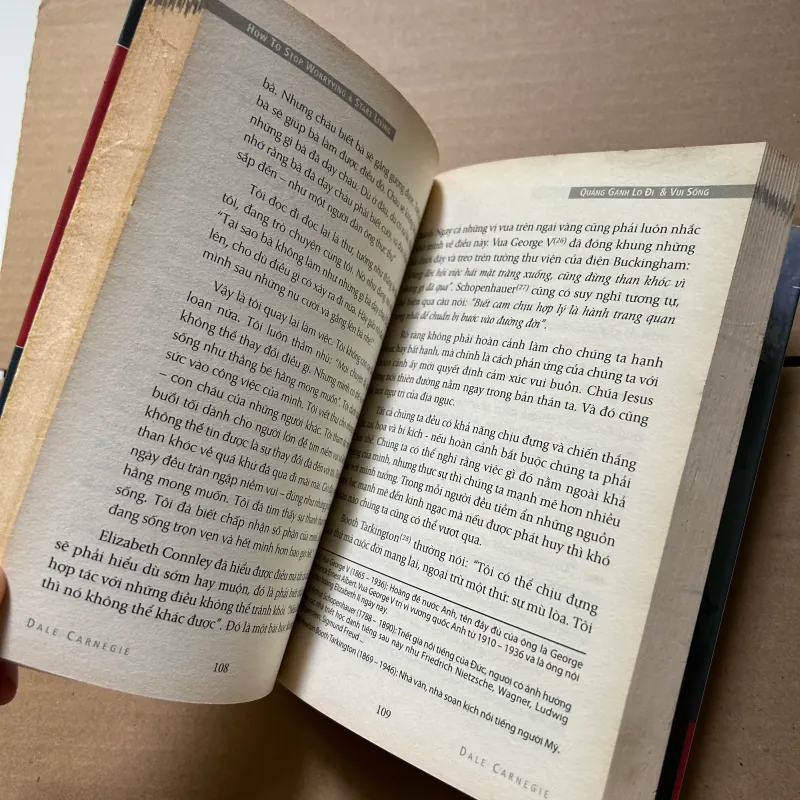 Quẳng gánh lo đi và vui sống 796650