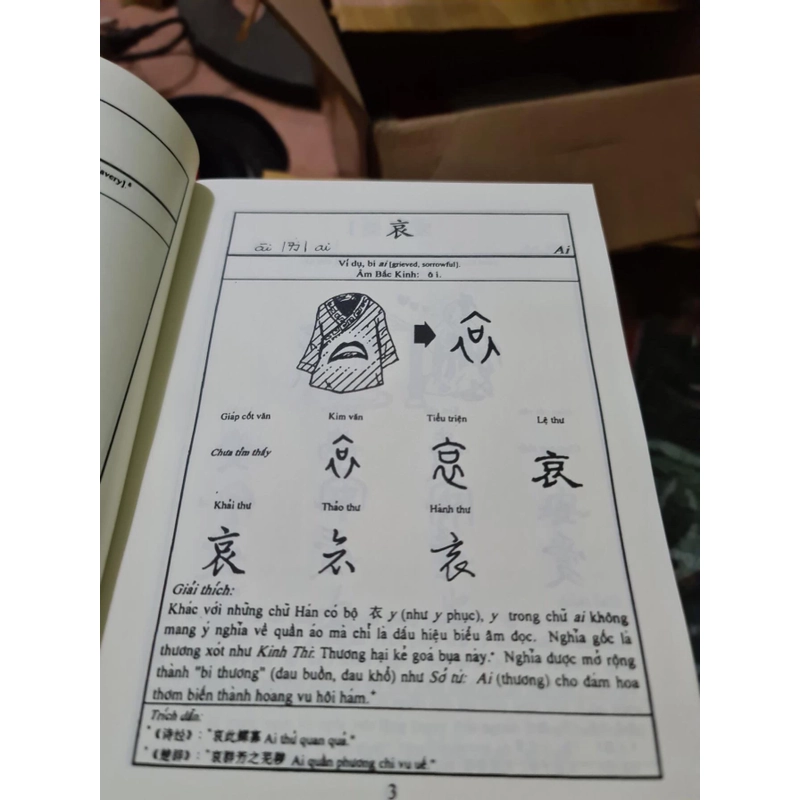 Tìm Về Cội Nguồn Chữ Hán (Gồm Nhiều Từ Đã Gia Nhập Vào Kho Tiếng Việt) – Lý Lạc Nghị 383136