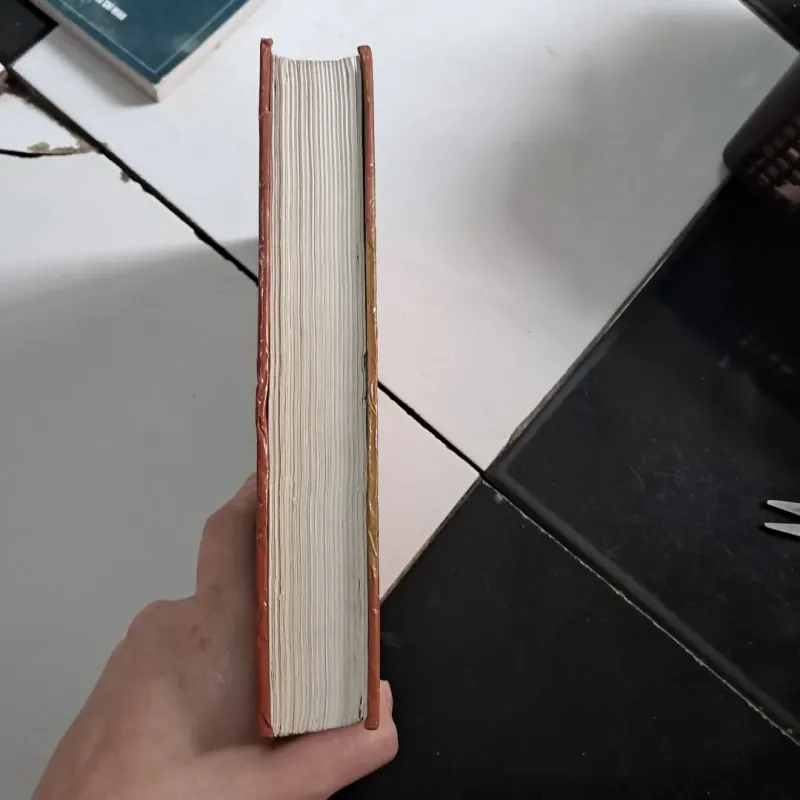 Thằng gù nhà thờ đức bà  1027961