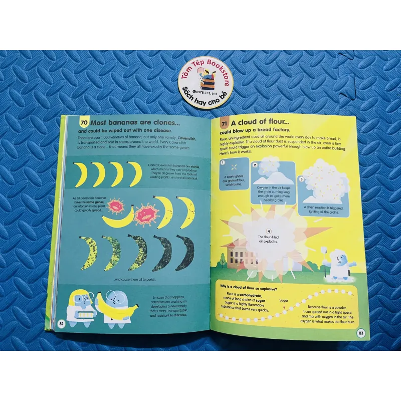 series Usborne “100 Things to Know About…” 785045