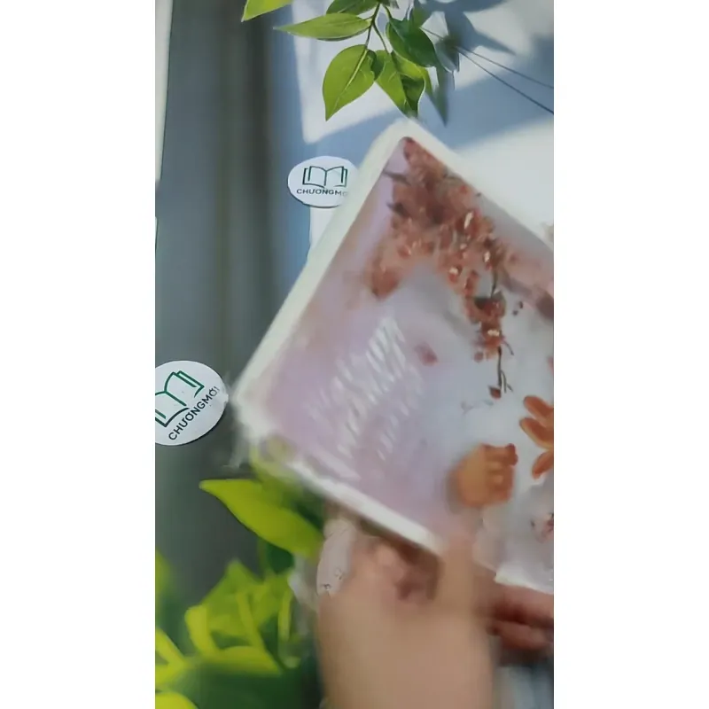 Việt Nam Của Tôi - Những Câu Chuyện Nhận Con Nuôi 705739