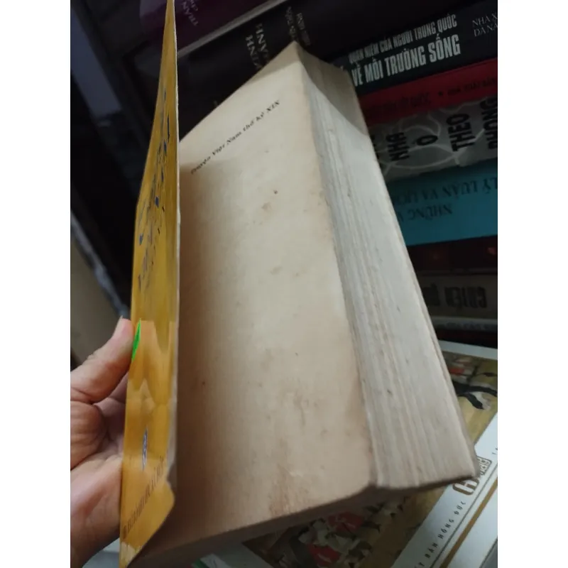 Truyện Việt Nam TK XIX 1026096