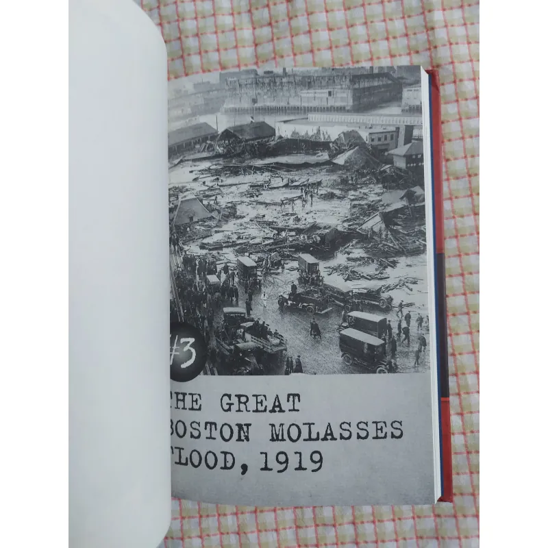 I SURVIVED: TRUE STORIES – FIVE EPIC DISASTERS - Lauren Tarshis 975136