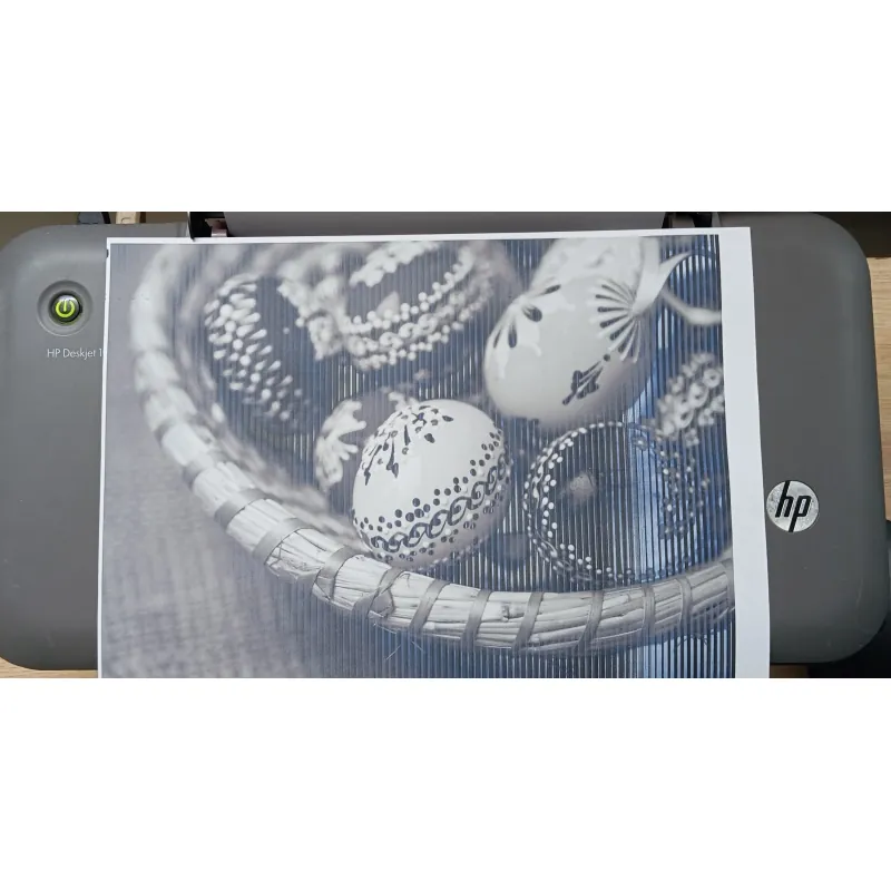 Máy in cũ - HP Deskjet 1000 1001776