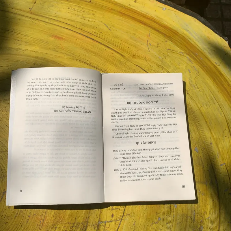 COMBO HƯỚNG DẪN THỰC HÀNH ĐIỀU TRỊ- BỘ Y TẾ 788055