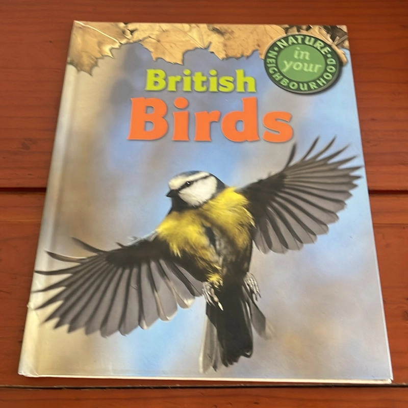 PICTURE BOOK British birds 534316