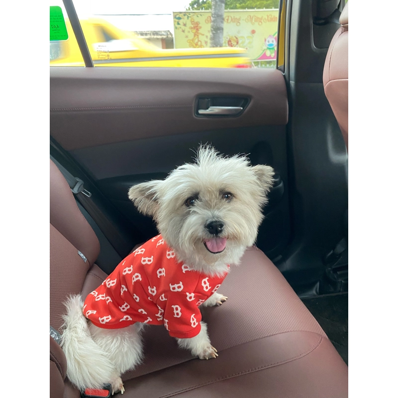 Áo Ny cho thú cưng 518376