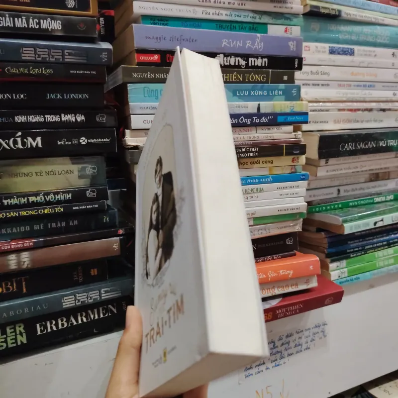 Sự may rủi của trái tim  🌱 973086