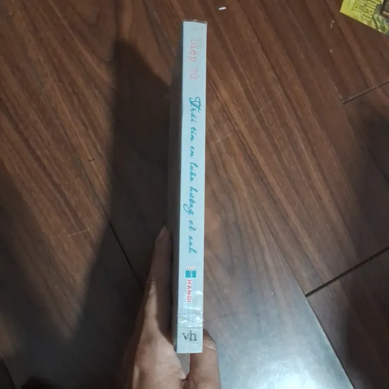 Trái tim em luôn hướng về anh - diệp tử 706614