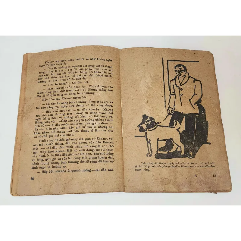 Đầu giáo sư Dowyel (VH kinh điển Nga) 711902