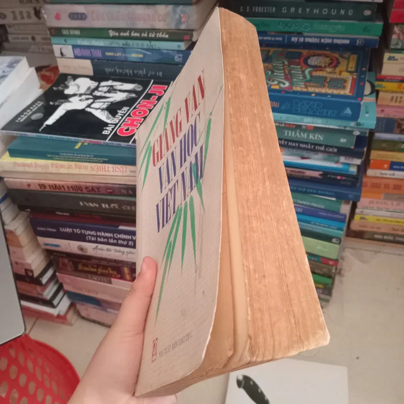 Giảng văn Văn học Việt Nam 📚 1004200