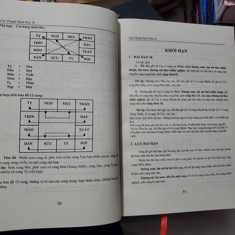 Tử vì dịch lý  330688