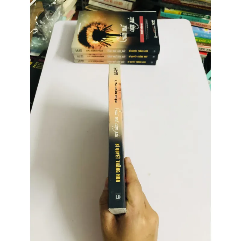 📚 GIẢI MÃ CẢM XÚC – BÍ QUYẾT THĂNG HOA (Lita Hoàn Phạm) 726449