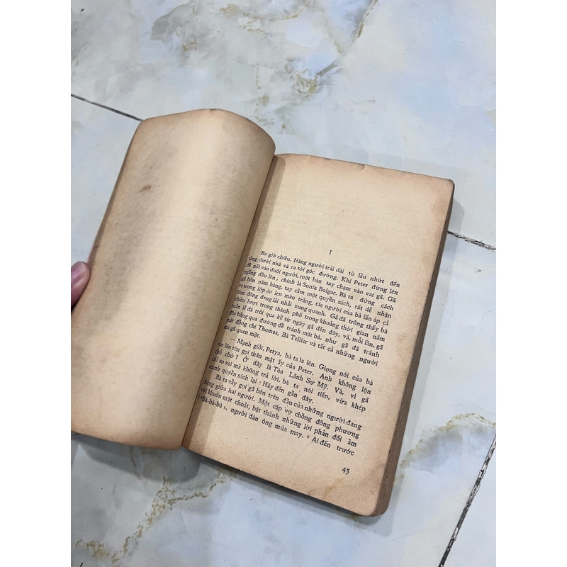 Đi trong hoàng hôn - Mai Vi Phúc dịch 531550