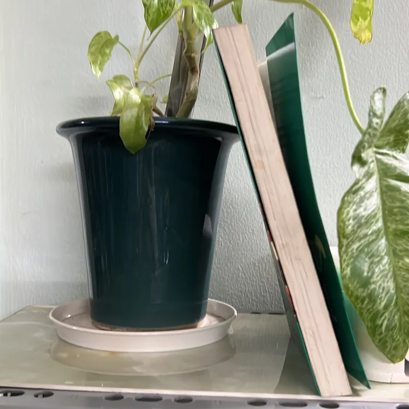 555 cách pha chế sinh tố và nước giải khát 736312