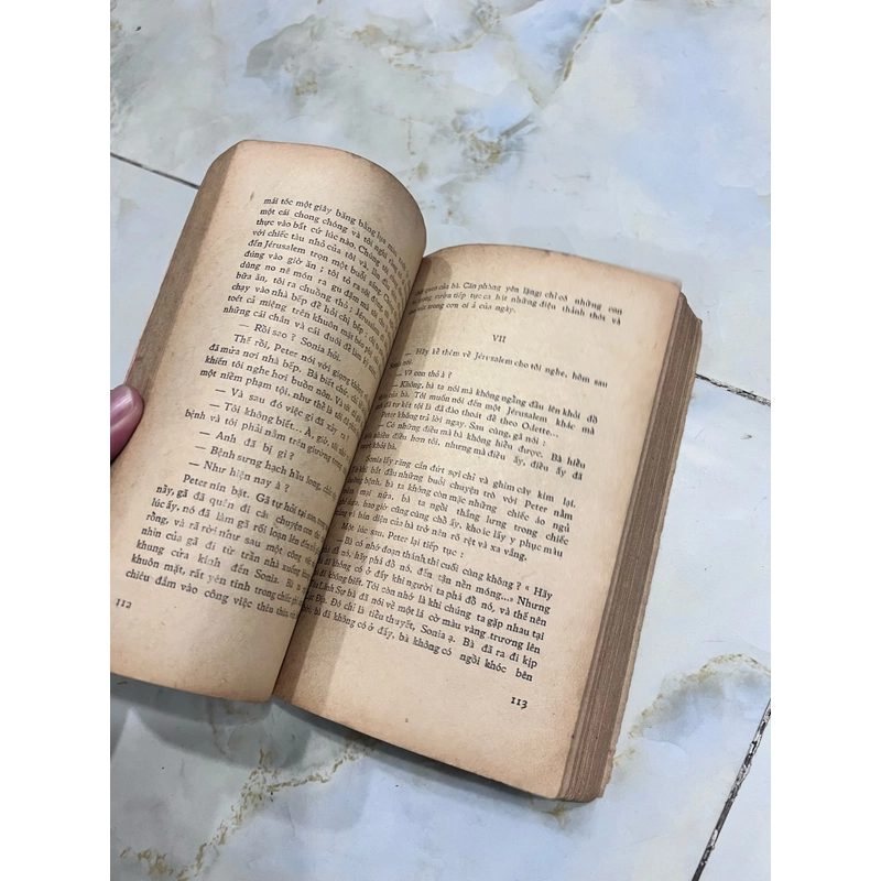 Đi trong hoàng hôn - Mai Vi Phúc dịch 531550