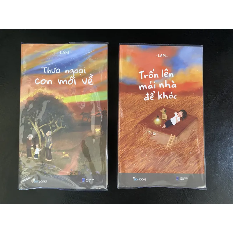 Combo Thưa ngoại con mới về Trốn trên mái nhà  592043