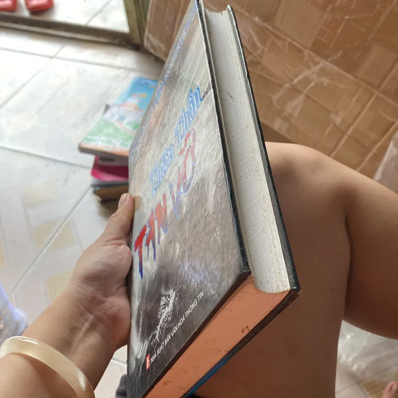 Thiên thần tan vỡ bìa cứng  574507