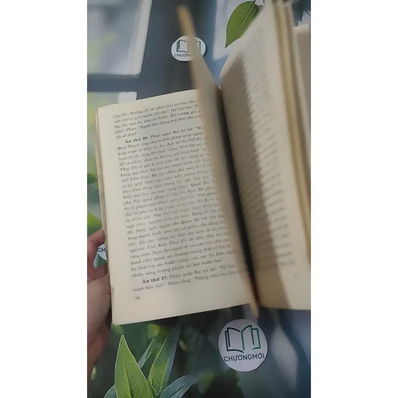 Hồi Dương Nhơn Quả 1018902