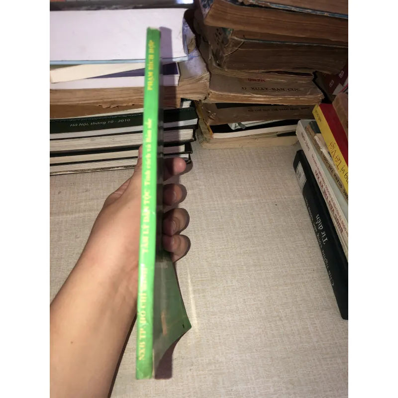 Tâm Lý Dân Tộc Tính Cách Và Bản Sắc-Phạm Bích Hợp 971695