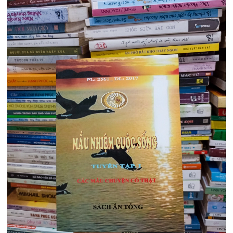 Màu nhiệm cuộc sống - Tập 1 🌻 523750