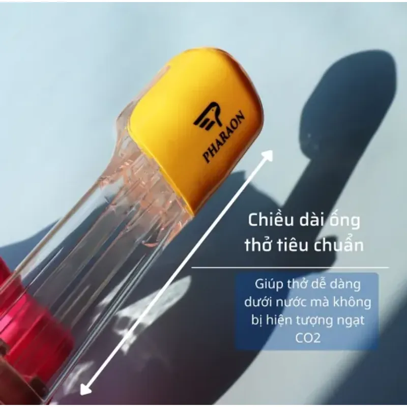 Mặt Nạ Lặn Biển Mặt Nạ Bơi Full Face 993912