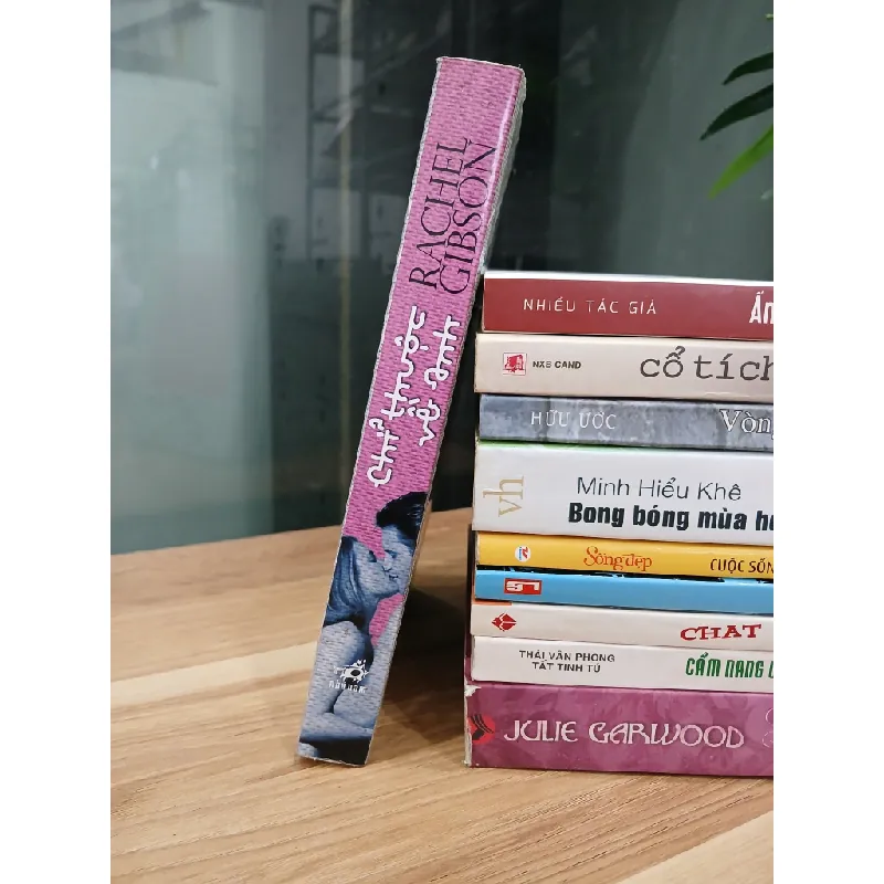 Chỉ thuộc về anh– Rachel Gibson 553584