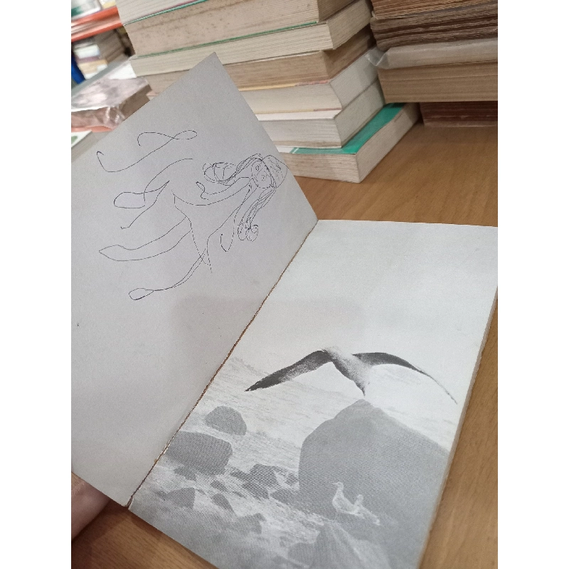 Jonathan Livingston Seagull - Richard Bach 1020420