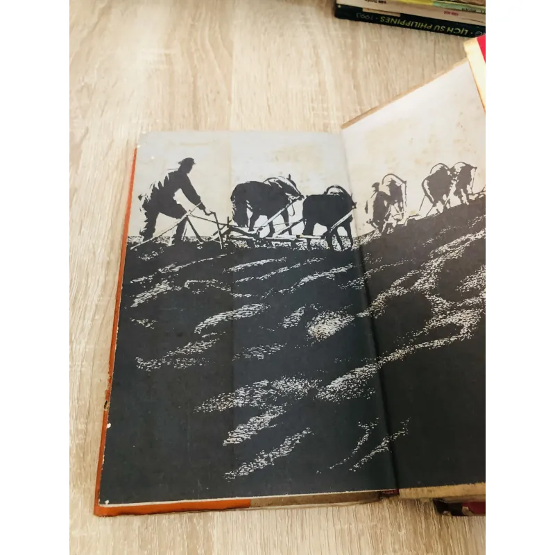 Đất vỡ hoang – tiểu thuyết nổi tiếng của Mikhail Sholokhov 929075