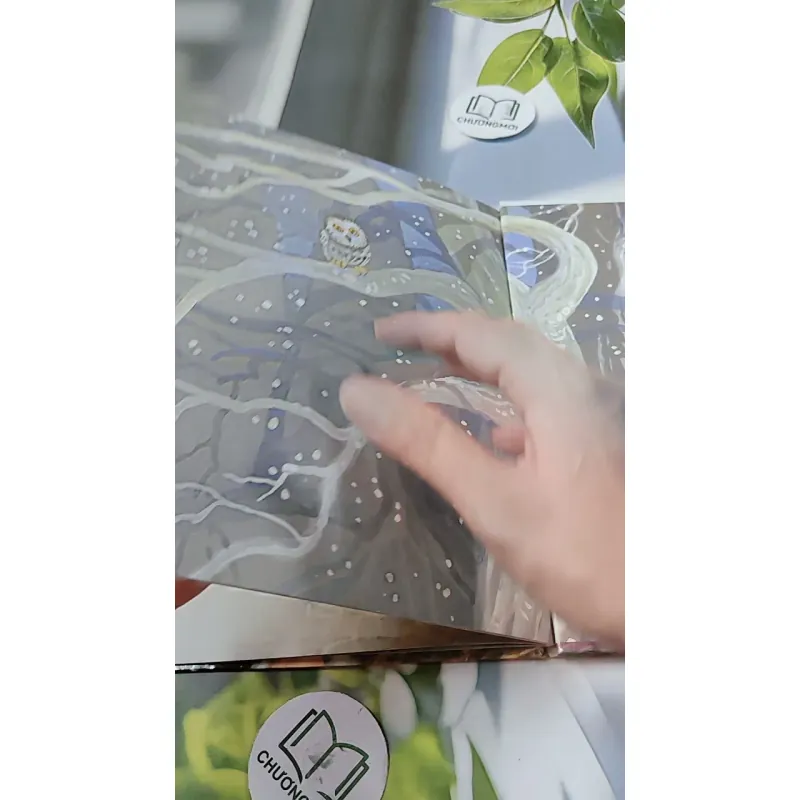 [Tặng nẹp góc] Truyện thiếu nhi Hàn Quốc: Moyamo Anu 39 -  모야모 아누와: 홀레 할머니가 주신 행운과 불행 732040