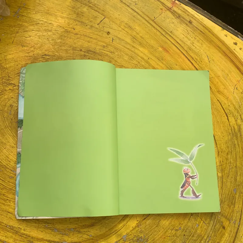 DIARY OF A CRICKET - TO HOAI 762220