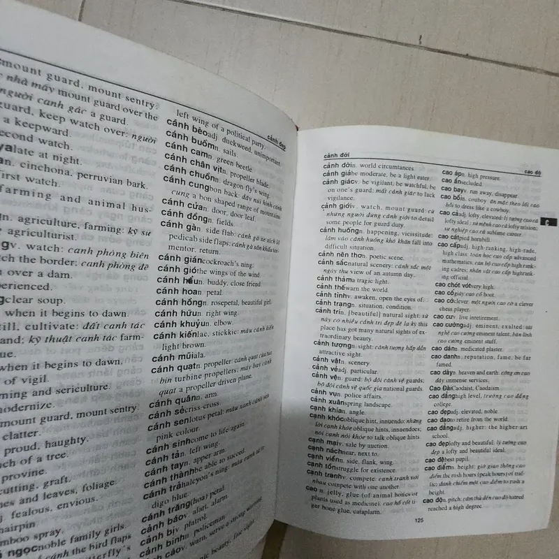 Sách Từ điển Việt Anh 715747