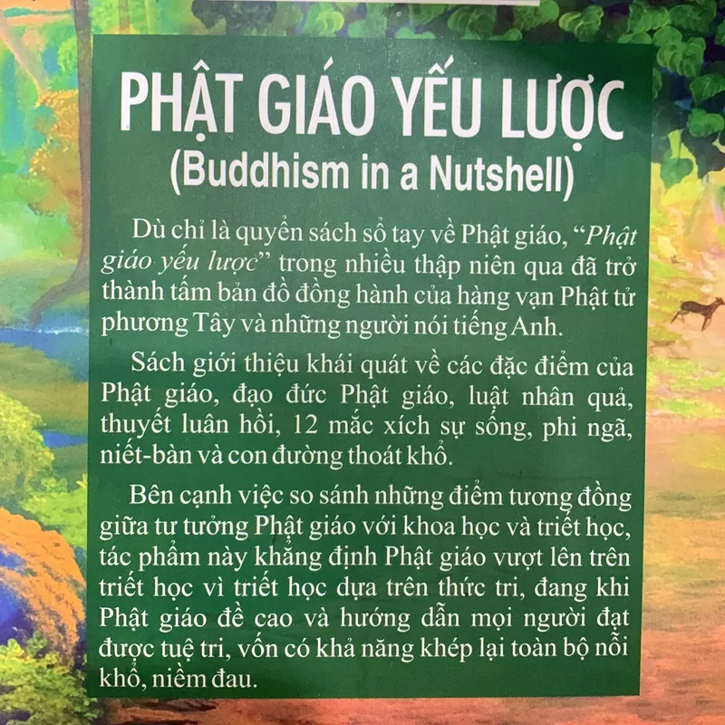 Sách Phật giáo yếu lược 594406