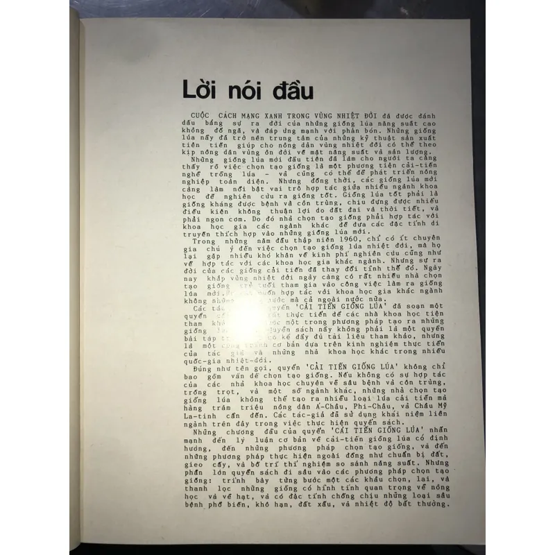 Cải tiến giống lúa  606080