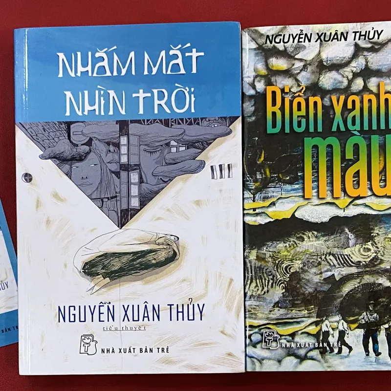 Nguyễn Xuân Thủy 623416