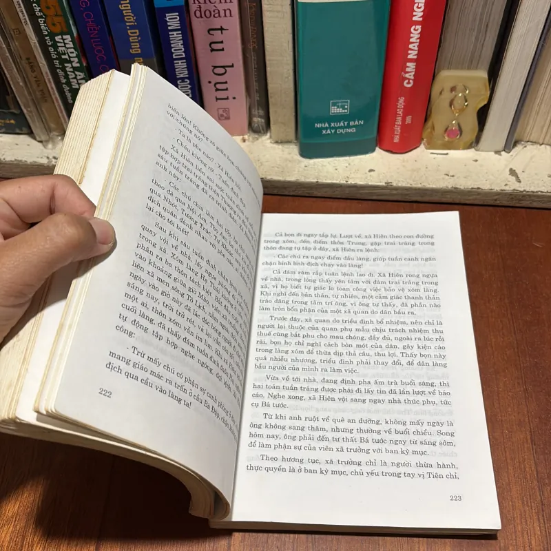 II Truyện Giả Sử: Chuyện Cũ Bên Dòng Sông Tô - Viên Mai - 2008 786253