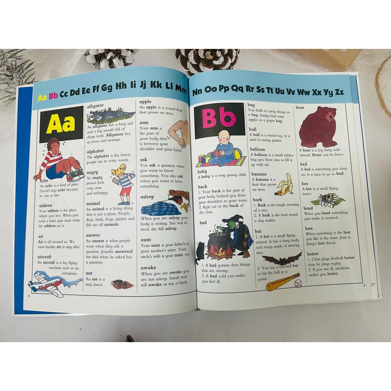 Young Learner’s First Dictionary 545228