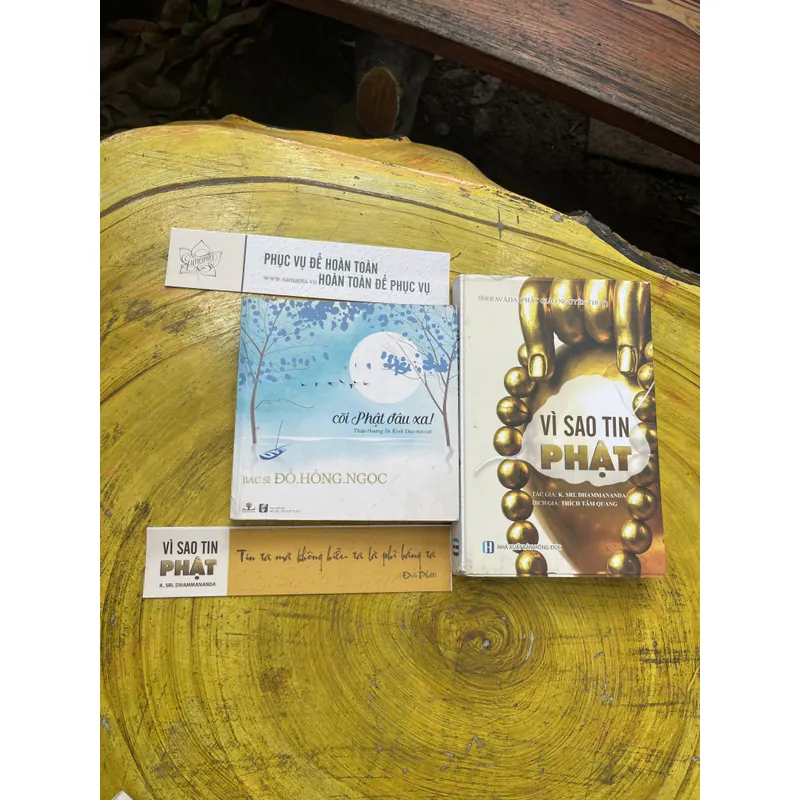 COMBO PHẬT GIÁO : VÌ SAO TIN PHẬT ( K. SRI. DHAMMANANDA)-CÕI PHẬT ĐÂU XA( ĐỖ HỒNG NGỌC) 603015