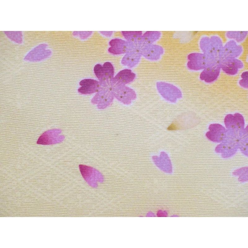 振袖 ATELIER SAB 友禅金彩加工 ボカシ染 - Hàng hiệu Authentic 877958