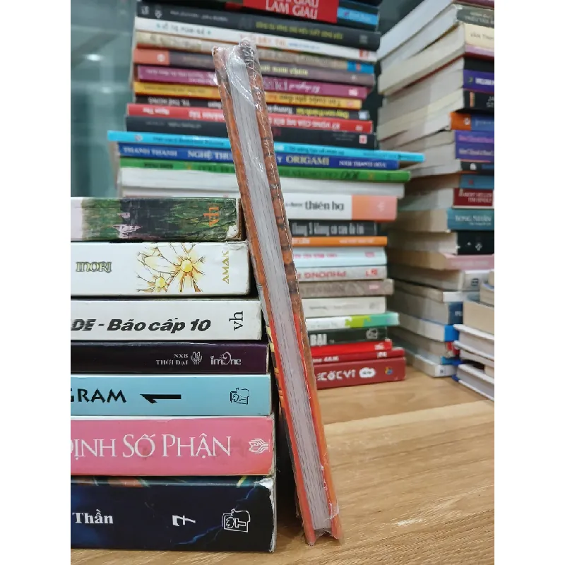 Triệu phú trước tuổi 25 – Võ Tuấn Anh & Bùi Xuân Hiếu 576826