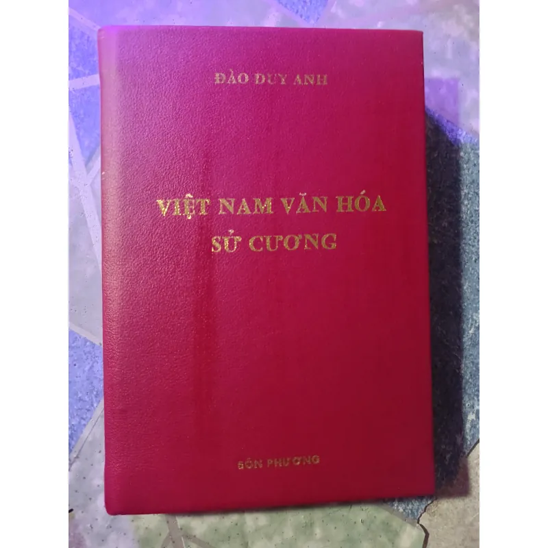 Việt Nam văn hóa sử cương - Đào Duy Anh 1046676