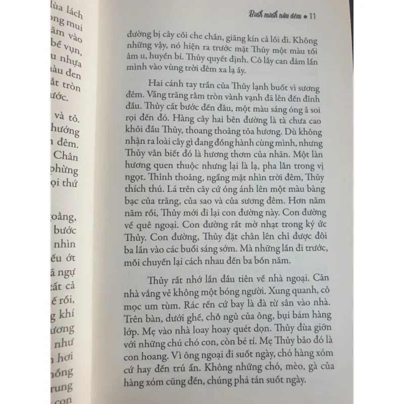 Bình Minh Nửa Đêm 736331