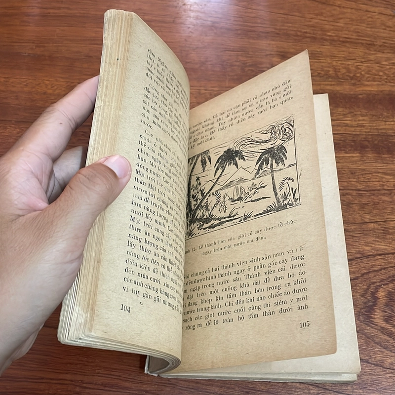 II Sách Xưa: Tìm Hiểu Thế Giới Màu Xanh - Trần Hợp, Vũ Văn Chuyên - 1977 503843