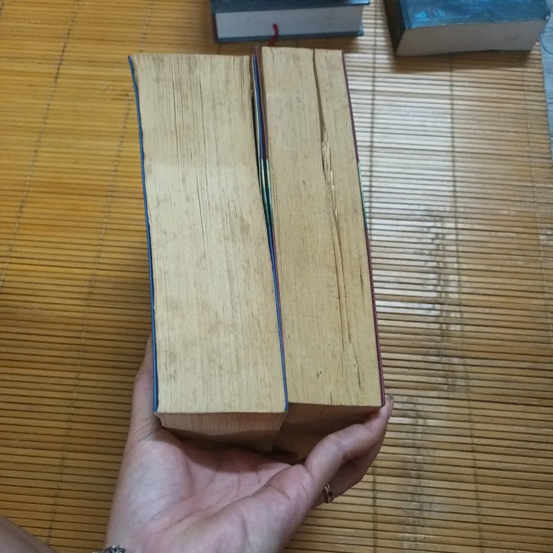 Vượt Qua Những Giới Hạn -Nguyễn Trần Bạt 1034715